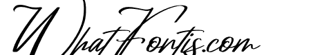 Amorillan Orgendam Italic