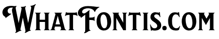 NS Lasttown Serif 