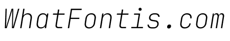 JetBrains Mono 100italic