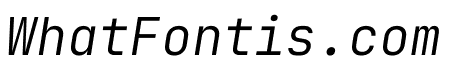 JetBrains Mono 300italic