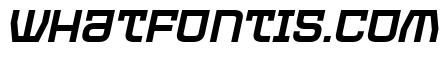 PROTECTOR Italic