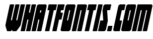 Elastic Lad Super-Italic