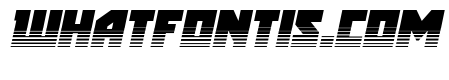 Arctic Guardian Twotone Italic