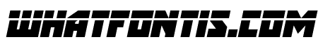 Arctic Guardian Laser Italic