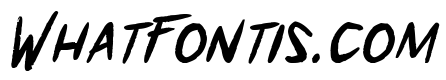 Who Dares?! Bold Italic