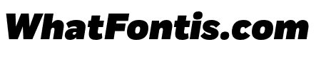 Fort Cond Black Italic