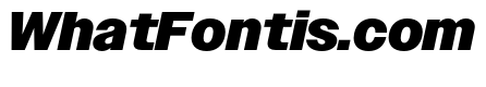 Owners Wide Black Italic