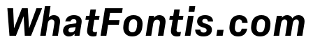 Elza Text Semibold Oblique