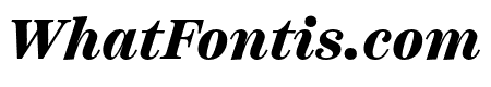 Scotch Text Black Italic
