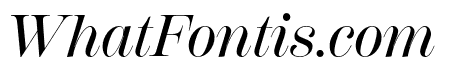 Scotch Display Compressed Medium Italic