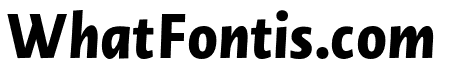 Novel Sans Gr XBold It