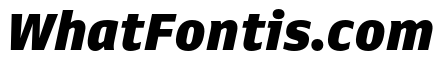 Queue Black Italic