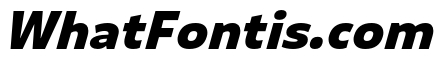 Puffin ExtraBold Italic