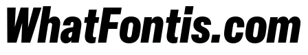 Elza Condensed Black Oblique
