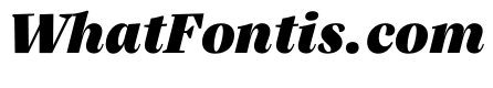 Silva Display Ultrablack Italic