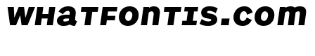 Parity Sans Extra Bold Italic