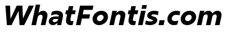 Rig Sans Extrabold Italic