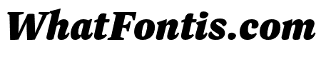 Dashiell Bright Black Italic