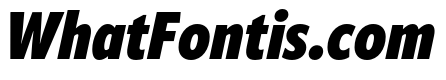 ApparatExtraCond Heavy Italic