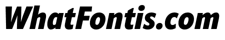 ApparatCond Black Italic