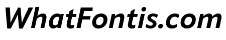 Apparat Bold Italic