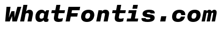 Nitti Black Italic