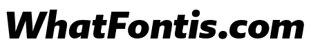 Brando Sans Black Italic