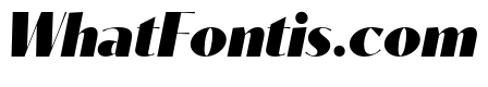 Contralto Big Black Italic