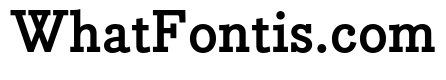 Bodoni Egyptian Pro Bold