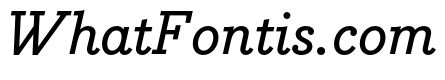 Bodoni Egyptian Pro Medium Italic