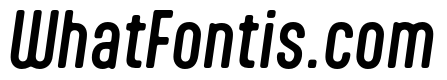 Aptly Medium Italic