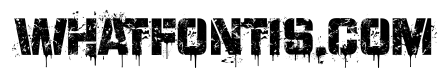 Division Regular