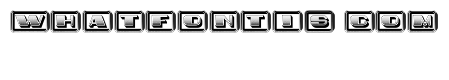 Idiot Capitals Gradient Regular