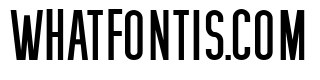 Boricua Condensed