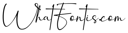 Winstyle Signature Demo