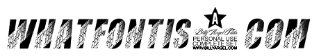 TIRES ITALIC PERSONAL USE Bold Italic