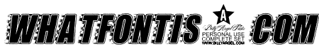STOCKCAR PERSONAL USE Bold Italic