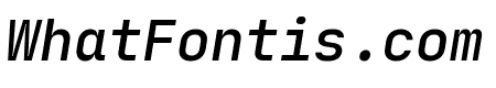 JetBrains Mono Medium Italic