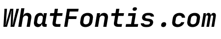 JetBrains Mono Bold Italic