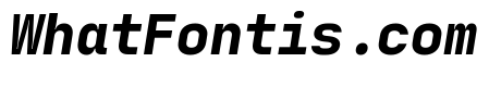 JetBrains Mono ExtBd Ita