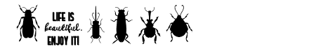 Brilliance Beetles