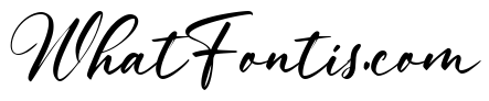 Moonshine Calligraphy Regular