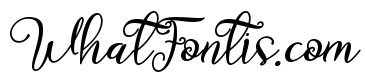Christmas Fancy Italic Italic