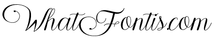Fikriani Script
