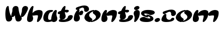Splashing Bold Italic