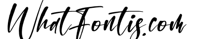 Montana Bright Italic