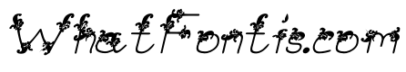 Kosalia Bold Italic