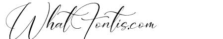 Landerful Signature Italic