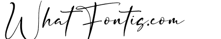 Senorita Signature Italic