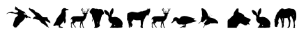 Animals silhouette